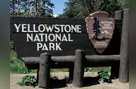 America in the Gilded Age and Progressive Era: Theodore Roosevelt, Conservationist