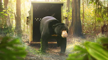 5:25 PM: Asia (S1) | BBC One East Midlands | 3/21 2026