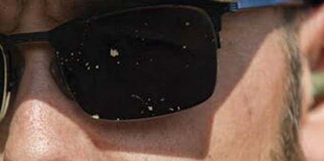 16:52: La fiebre del oro: La reivindicación | Discovery Max | 1/22 2026