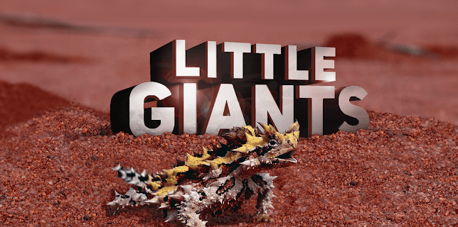 Little Giants Season 1