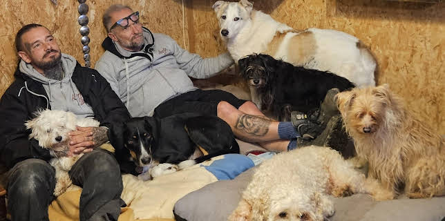 19:10: Harte Hunde - Die Urlaubsvertretung | VOX | 2/28 2026