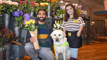 12:20 PM: Dog Squad (S2) | Cbeebies | 7/21 2026