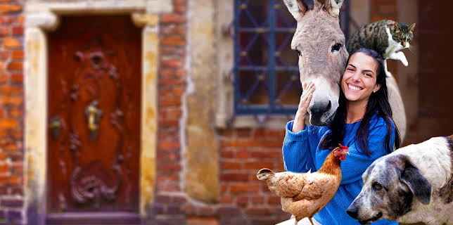 12:50: Märchenreise: Die Bremer Stadtmusikanten | Radio Bremen | 1/18 2026