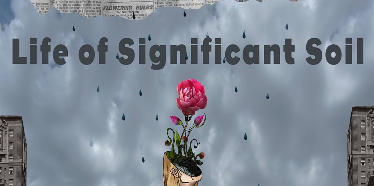 Life of Significant Soil (2016)