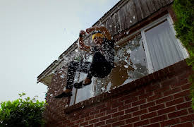 Turner & Hooch, S1: In the Line of Fur