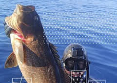 Pescasub en Almería