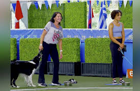 Puppy Bowl Presents: The Summer Games: The Summer Games