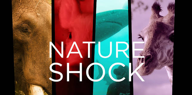 Nature Shock