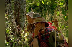 Mygrations Season Season 1: Falling Apart