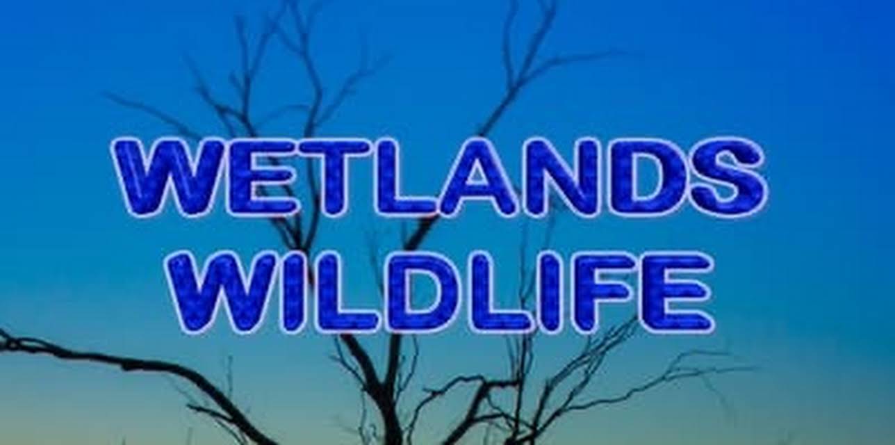 Wetlands Wildlife (2022)