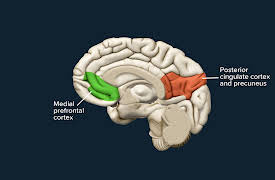 Creativity and Your Brain: Beyond the Right-Brain Creativity Myth