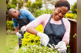 The Science of Gardening: The Art and Science of Pruning