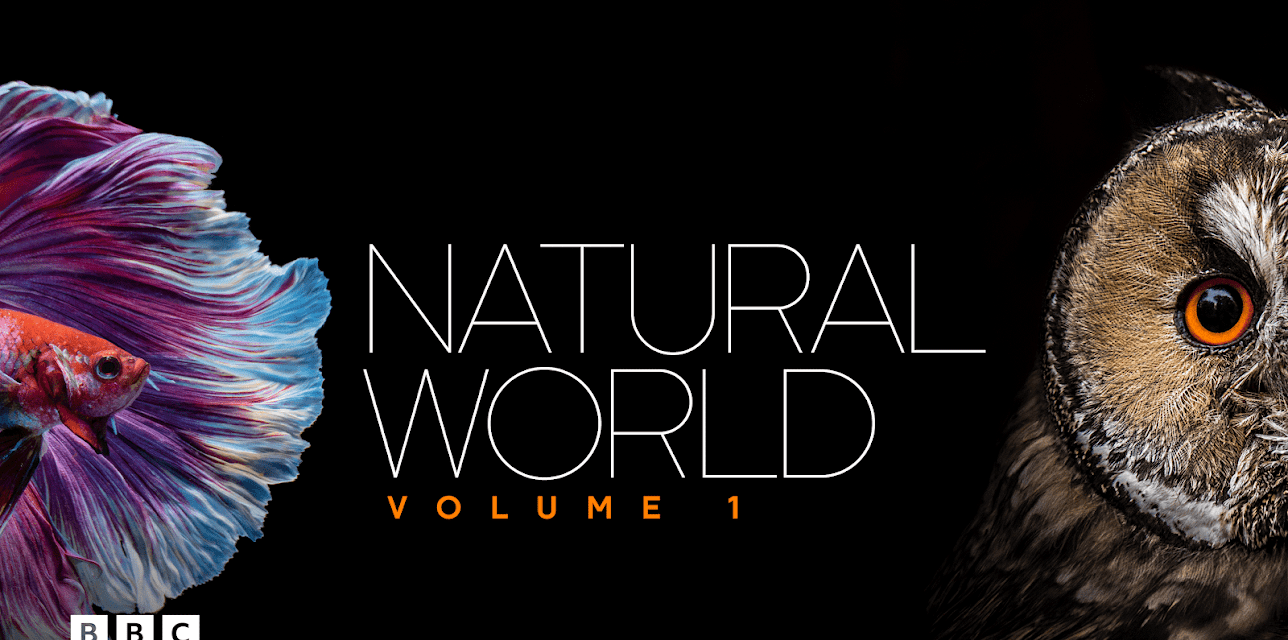 Natural World: Volume I