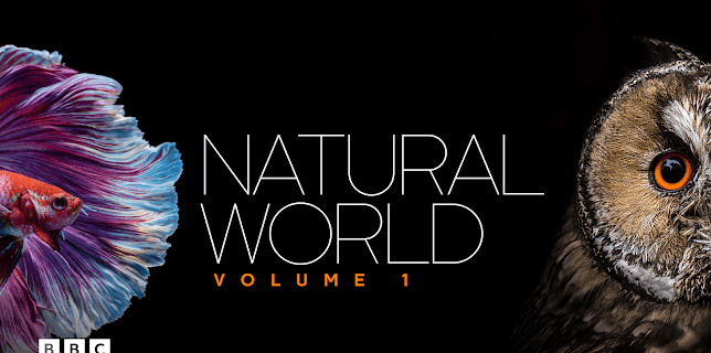 Natural World: Volume I