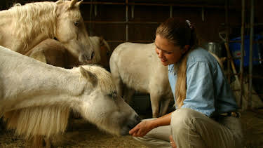 07:40: Animal Cops Houston (S7 E10) (S7) | Animal Planet | 4/19 2026