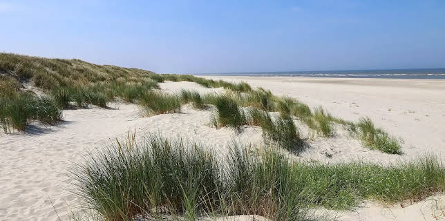 20:15: Deutsche Inseln, die Sie kennen sollten | NDR Fernsehen | 11/23 2025