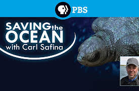 Saving the Ocean with Carl Safina: The Sacred Island