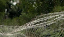 Sabores: Sabores de Saboya: valles de leyenda