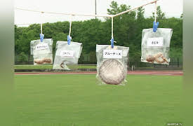 Crazy Labo: Episode 15