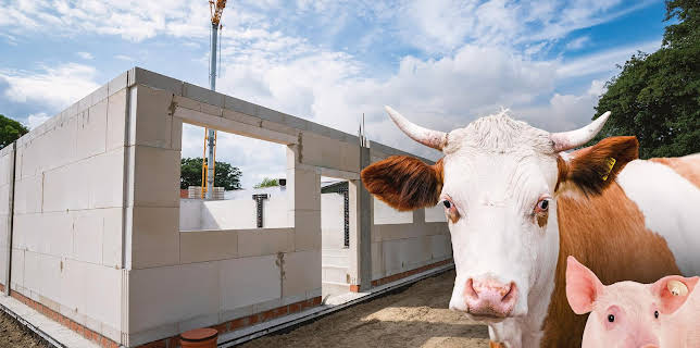 16:15: Unser Land | BR Fernsehen | 1/18 2026