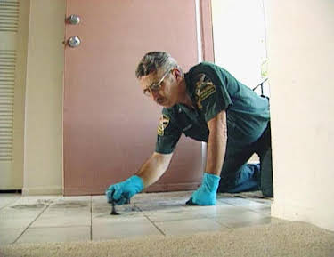 04:05: Medical Detectives - Geheimnisse der Gerichtsmedizin | VOX | 4/6 2026