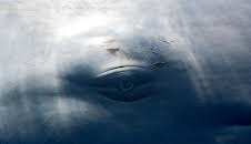 Magisches Mittelmeer