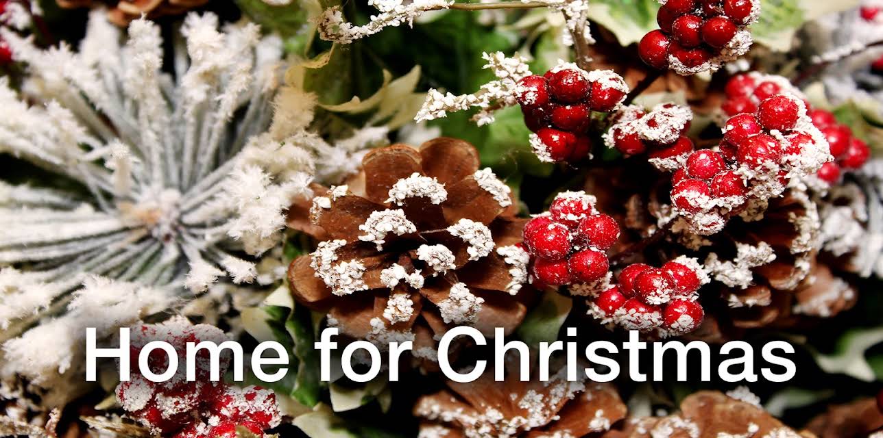 Home for Christmas (1993)