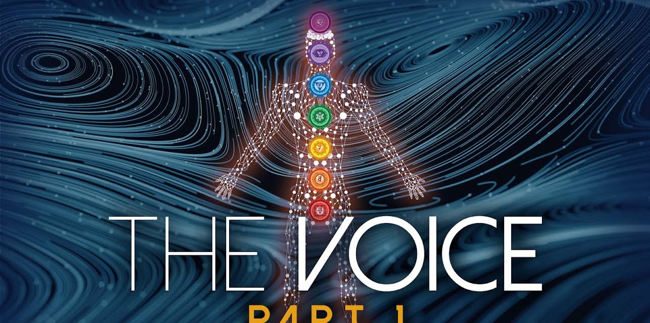 The Voice: Part 1 (2008)