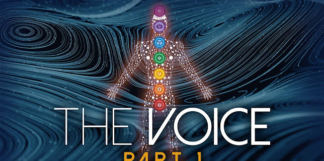 The Voice: Part 1 (2008)