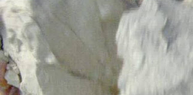 15:50: Así se hace (MAX): Arcilla/Ciruelas deshuesadas/Espuelas | Discovery | 2/18 2026