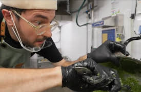 The Backpacker Chef 2: Episode 21