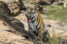 Life Story, Season 1: Growing Up