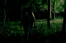 Homicide City: Charlotte Season 1: Trail of Evil