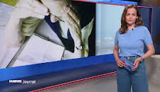 Hamburg Journal