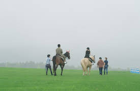 Love is Blind: Japón: Solos tú y yo