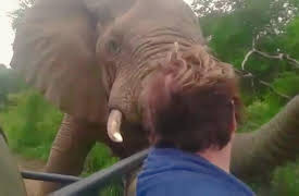 Wild Tube: Episode 3