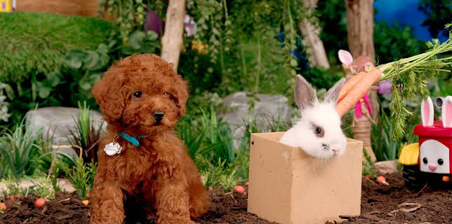 17:20: Rosin og Bolle: Følg etter eska! | NRK Super | 1/7 2026