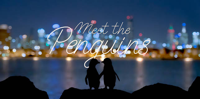 Meet the Penguins (2022)