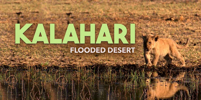 Kalahari: The Flooded Desert (2003)