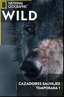13:40: Cazadores salvajes: Serpientes | Nat Geo Wild | 3/29 2026