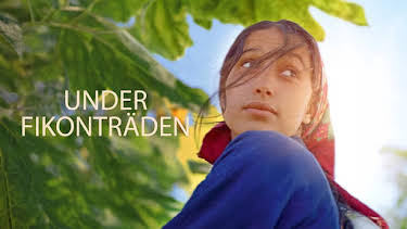 22:50: Under fikonträden | SVT2 | 8/29 2026
