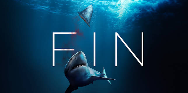 Fin