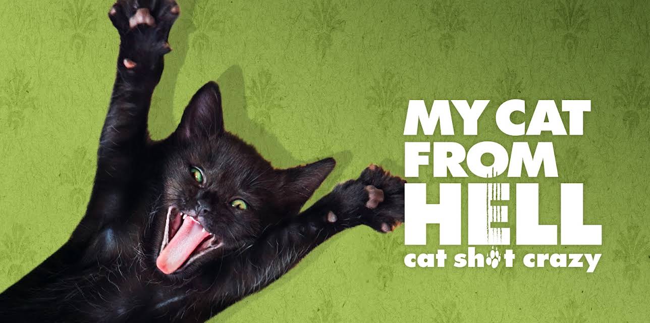 My Cat From Hell