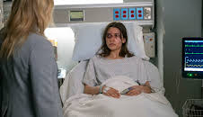 Law & Order: Special Victims Unit (S23 E18)