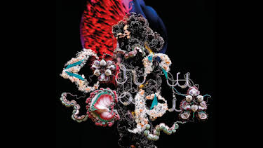 10:15 PM: Bjork: Cornucopia | Sky Arts | 9/18 2026