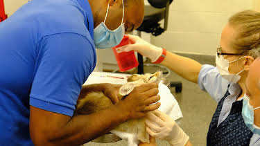 06:50: The Zoo (S5 E4) (S5) | Animal Planet | 4/29 2026