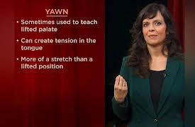 How to Sing: Utilizing the Soft Palate