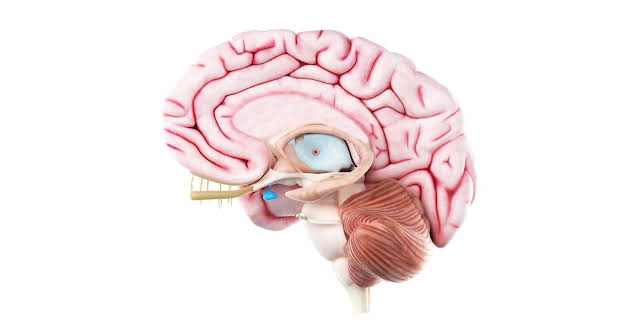 15:00: aktiv und gesund | BR Fernsehen | 3/13 2026