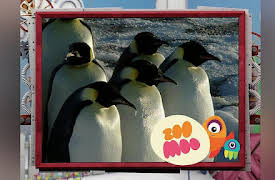 Animal All Stars: Deep Freeze