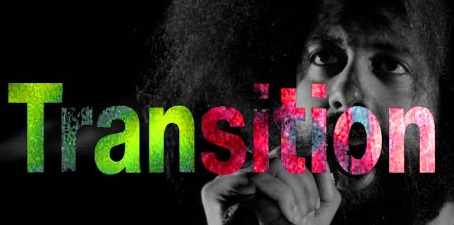 Reggie Watts - Transition (2016)